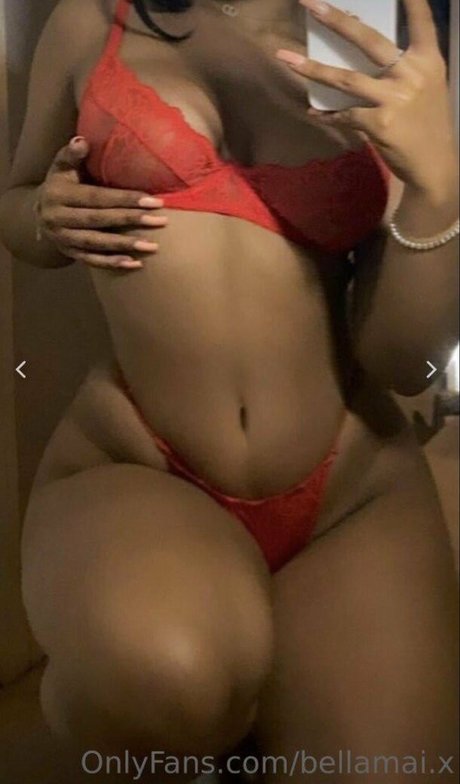 Bellamaix