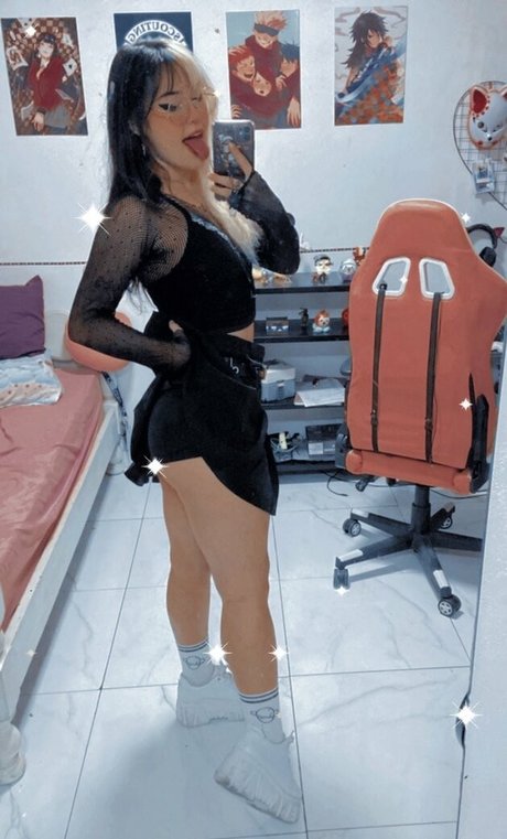 Apuddii