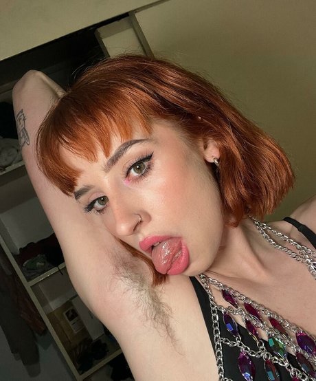 Nippyhippie