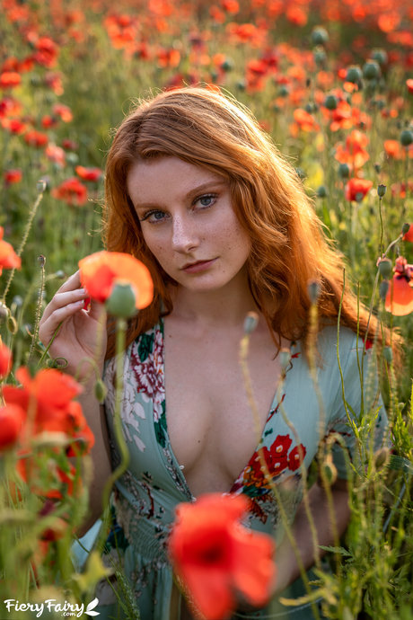 Fieryfairy
