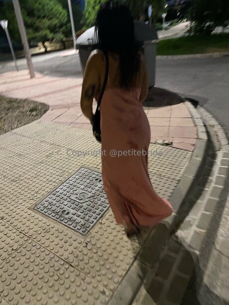 Freepetitebrida