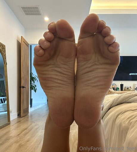Pvz Feet