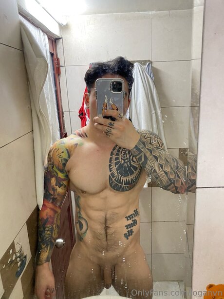 Loganvn