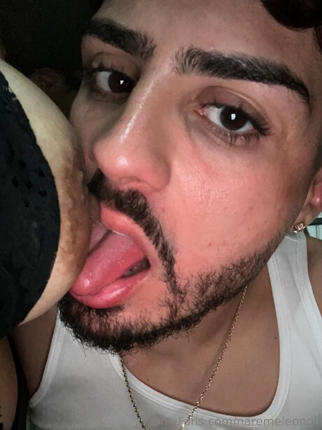Naremeleongil