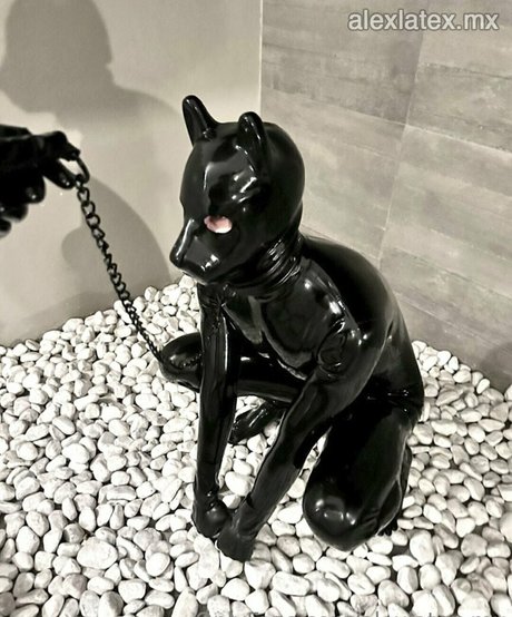Nacktes geleaktes OnlyFans-Foto von Alexlatexmx