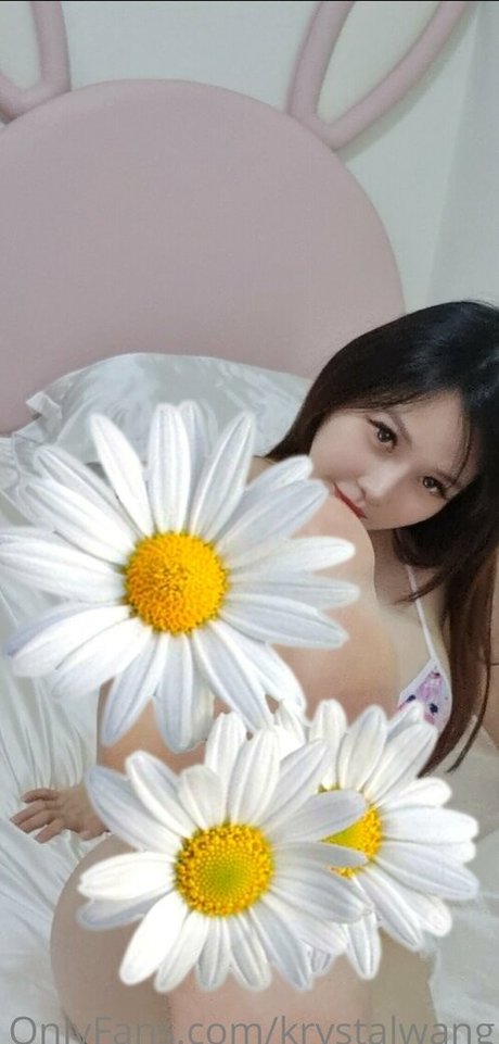 Krystalwangfree