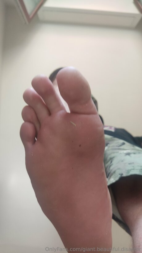 Giant Beautiful Disaster