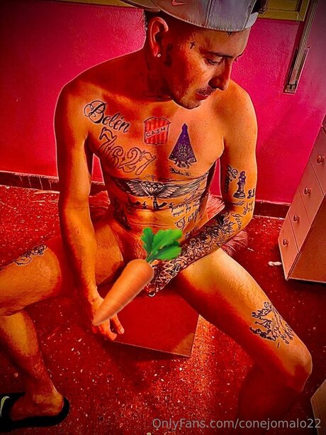 Nacktes geleaktes OnlyFans-Foto von Conejomalo22