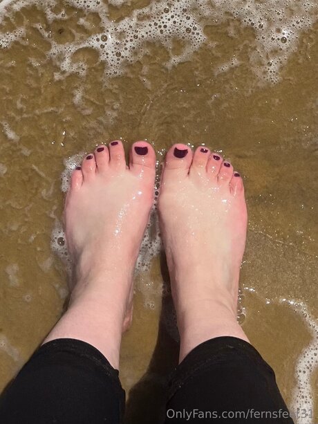 Fernsfeet31