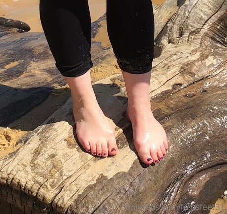 Fernsfeet31
