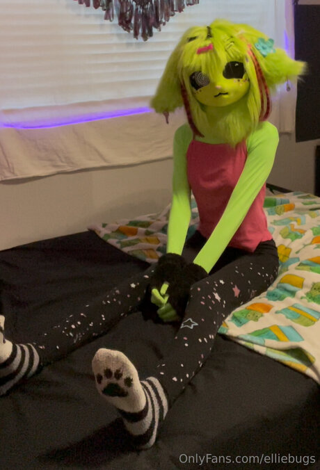 Elliebugs