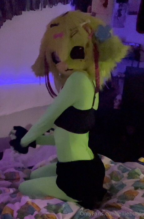Elliebugs
