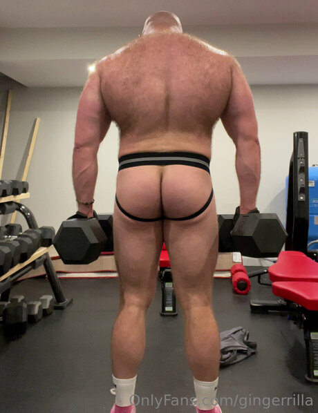 Gingerrilla
