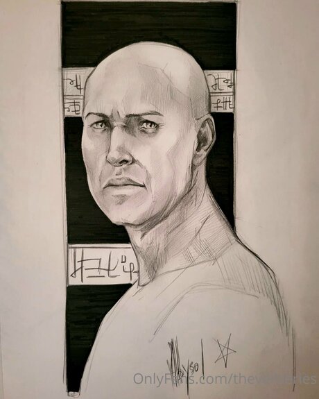 Theveilseries