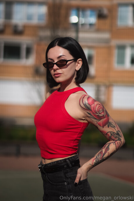 Meganhot Orlowskii