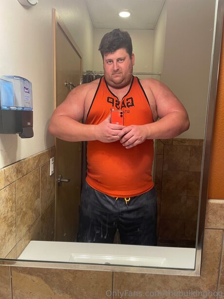 Thebulkinghog
