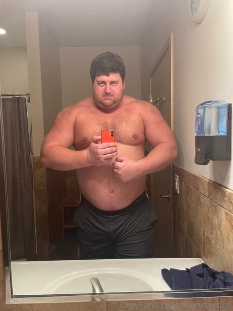 Thebulkinghog