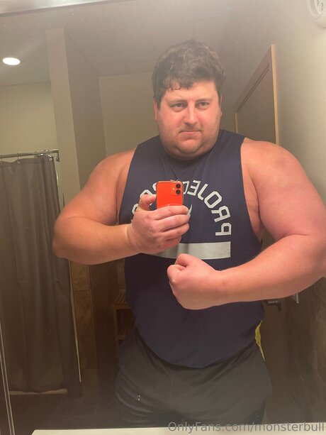 Thebulkinghog
