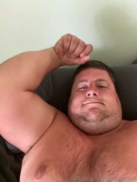 Thebulkinghog