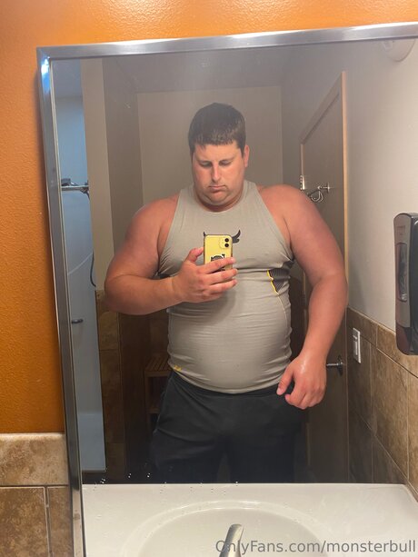Thebulkinghog