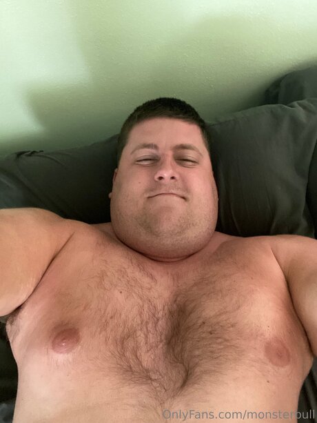 Thebulkinghog