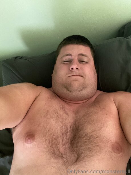 Thebulkinghog