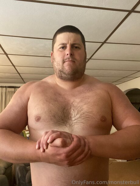 Thebulkinghog