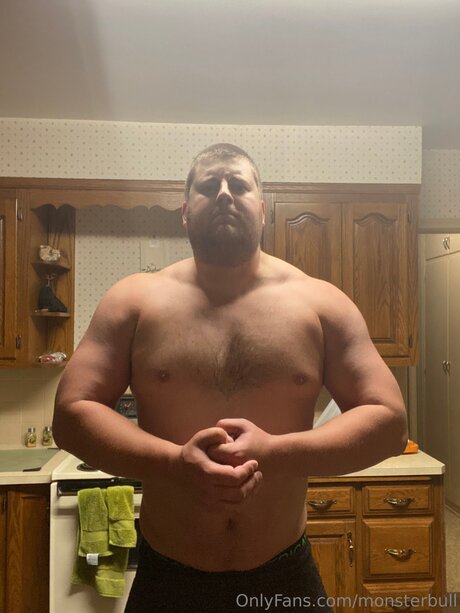 Thebulkinghog