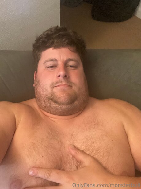 Thebulkinghog