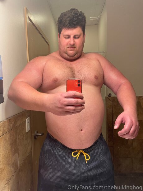 Thebulkinghog