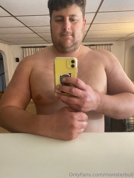 Thebulkinghog
