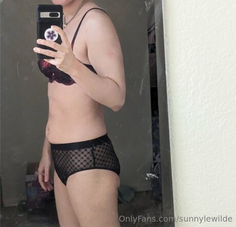 Sunnylewilde