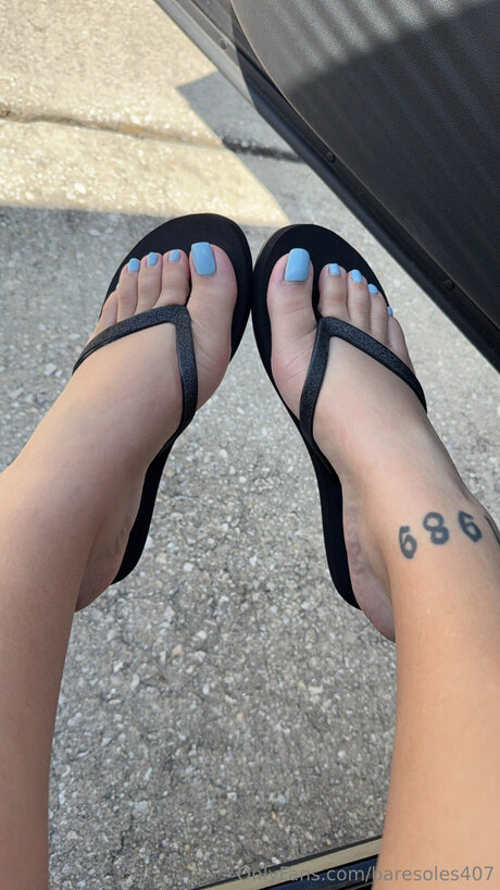 Baresoles407