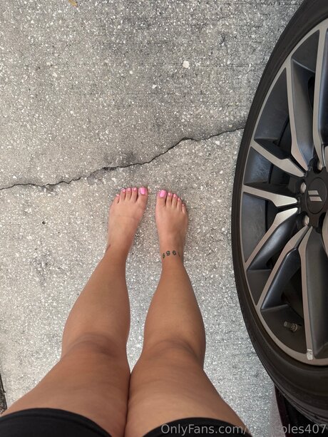 Baresoles407