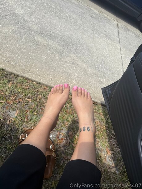 Baresoles407