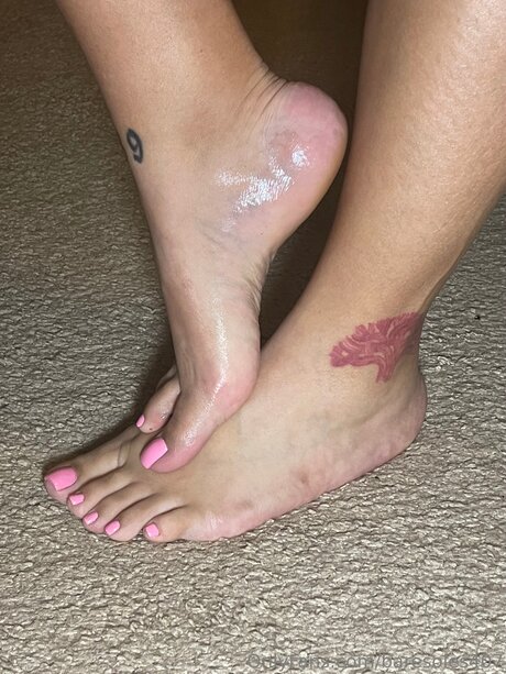 Baresoles407