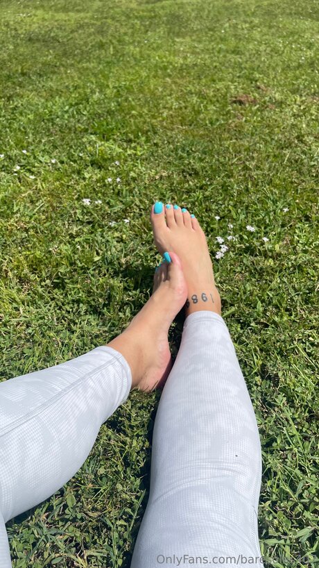 Baresoles407