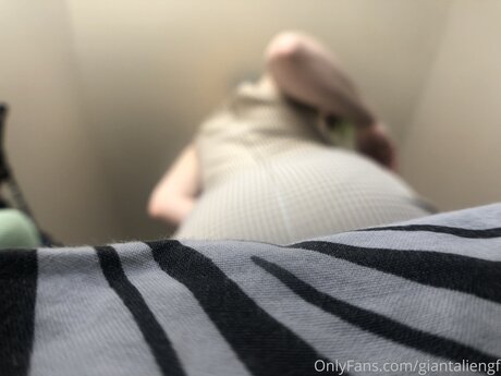 Giantaliengf