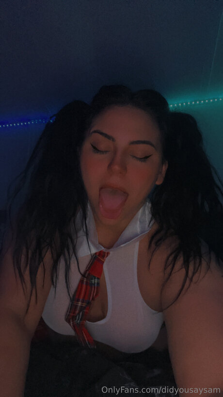 Didyousaysam