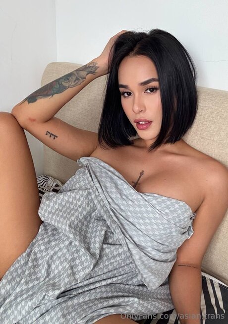 Asian Trans