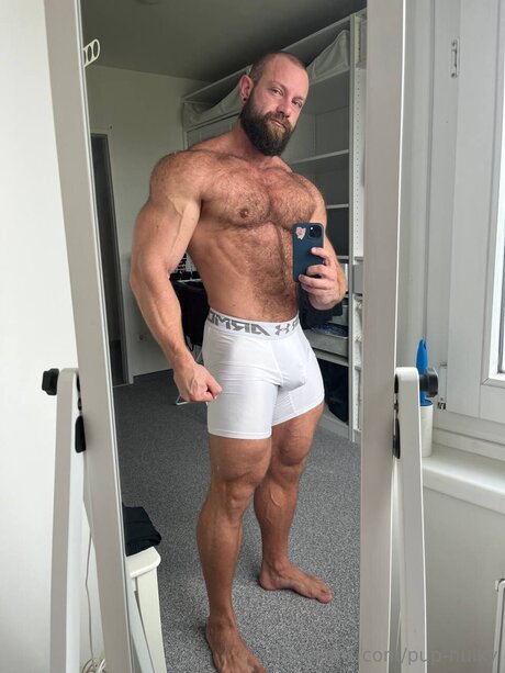 Pup Hulky