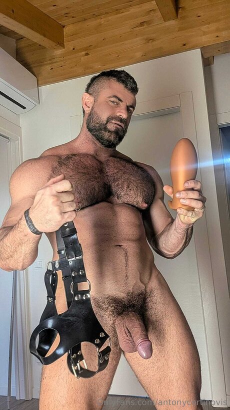 Antonycortinovis