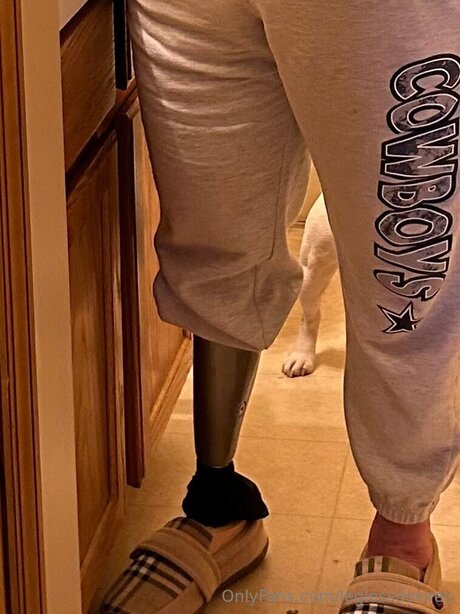 Leglessdesires