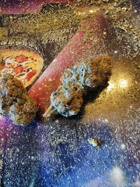Somestonergirl