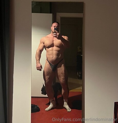 Berlindominator