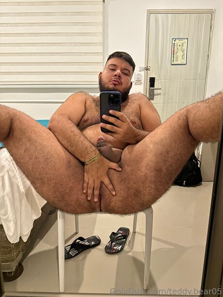 Teddy Bear05