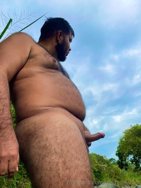 Teddy Bear05