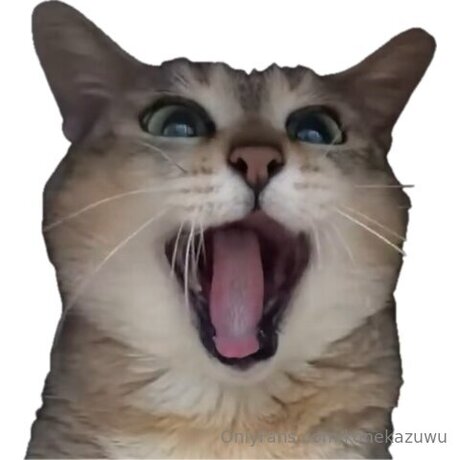Konekazuwu