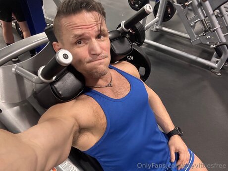 Gayvittlesfree