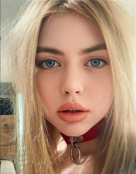 Vikivi